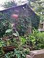 Antique Barn in the Rabbit Hash Historic District