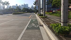Arcovia City Bicycle Lane