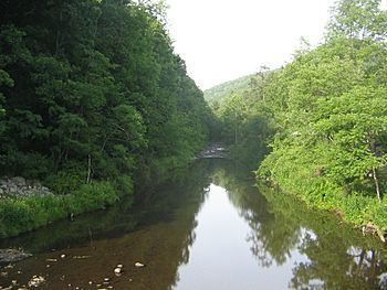 Babb Creek, east from PA 287.JPG