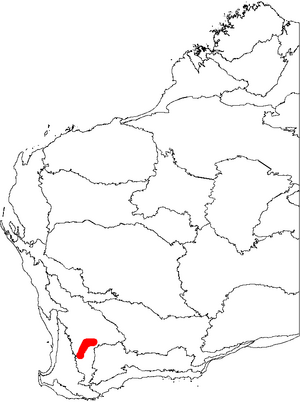 Banksia cuneata map