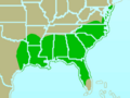 Brown-headed Nuthatch-rangemap