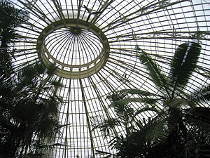 Buffalo and Erie County Botanical Gardens - 1-10 - IMG 3488