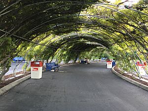 California's Great America 3 2017-08-01