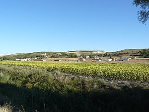 panoramic view