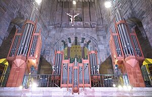 Chorhalle Orgel