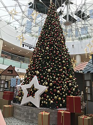 Christmas Tree - Taj Mall Jordan 1