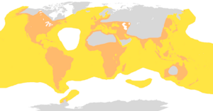 Combined range of Pelecaniformes & Suliformes.png