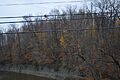 Conneaut Works from Mill Street bridge