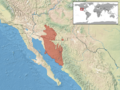 Crotalus tigris distribution