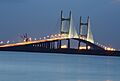 Dames Point Bridge at Night - 17 June 2013