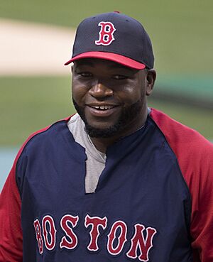 David Ortiz on July 27, 2013.jpg