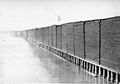 Eddy Lumber Docks 1888
