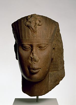 Egyptian - Head of King Amasis - Walters 22415