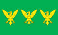 Flag of Caernarfonshire