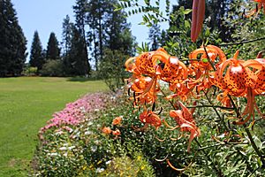 Flowers at Summerland Ornamental Gardens