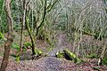 Footpath bridge - geograph.org.uk - 1751025