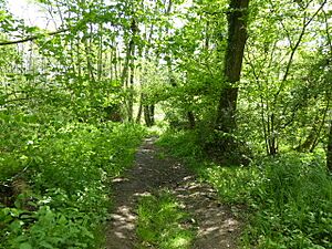 Fyning Moor (5)