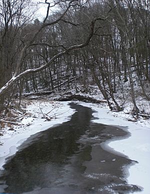 Hemlock Creek looking downstream