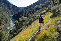 Historic Stevens Trail CA