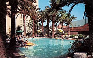 Hollywood Plaza Hotel pool