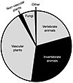INaturalist pie-chart of taxonomic groups