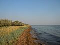 Kinburn sandbar