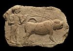 Kurdish dog Inscription-kurdish mastiff History-Pshdar dog-Assyrian Dog-Babylon dog.jpg