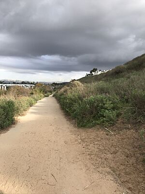 LMU Fire Road, Playa Vista Riparian Corridor