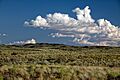 Looking south towards the Jornada del Muerto Volcano