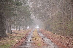 Lowland Cottage drive
