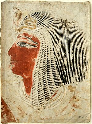 MMoCA.9MA Wall rubbing of the head of Seti I. Giovanni Battista Belzoni