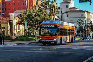 MTA 4185