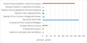 Male and Female Occupations in Radwinter 1881