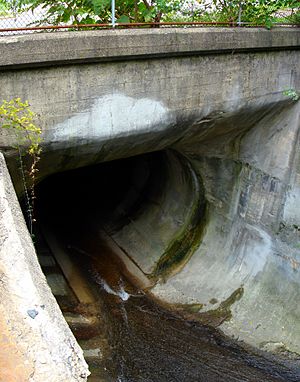 Mill Creek Tube