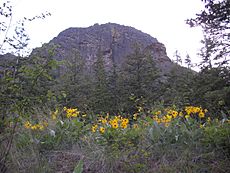 Mount Boucherie