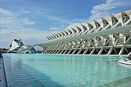 Museo principe felipe-valencia-2009 (7)