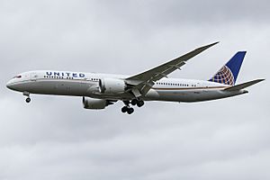 N29961 Boeing 787-9 United (33239793633)