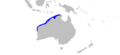 Neotrygon ningalooensis rangemap
