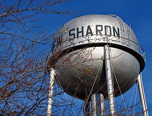 New Sharon water tower.jpg