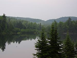 Parc Omega