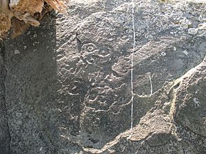 Petersburg Petroglyphen