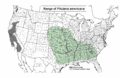 Pilularia americana-rangemap