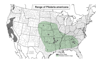 Pilularia americana-rangemap