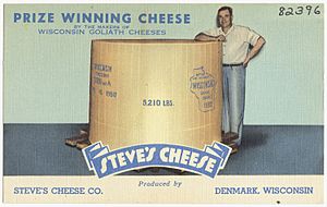 Prize winning cheese by the makers of Wisconsin Goliath Cheeses, Steves Cheese produced by Steves Cheese Co., Denmark, Wisconsin