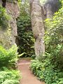 Quarry Garden, Belsay Hall - geograph.org.uk - 398587