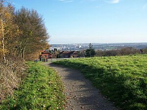Rede Common - geograph.org.uk - 1053591