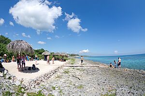 Scenes of Cuba (K5 01978) (5975088175)