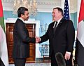 Secretary Pompeo Shakes Hands With UAE Foreign Minister Sheikh Abdullah bin Zayed Al Nahyan (41210385295)