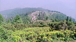 Shogran-SiriPaye