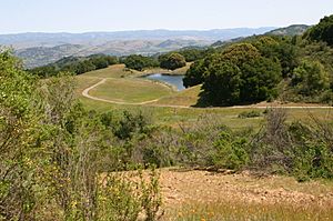 SierraAzulViewCherrySpringLakeX